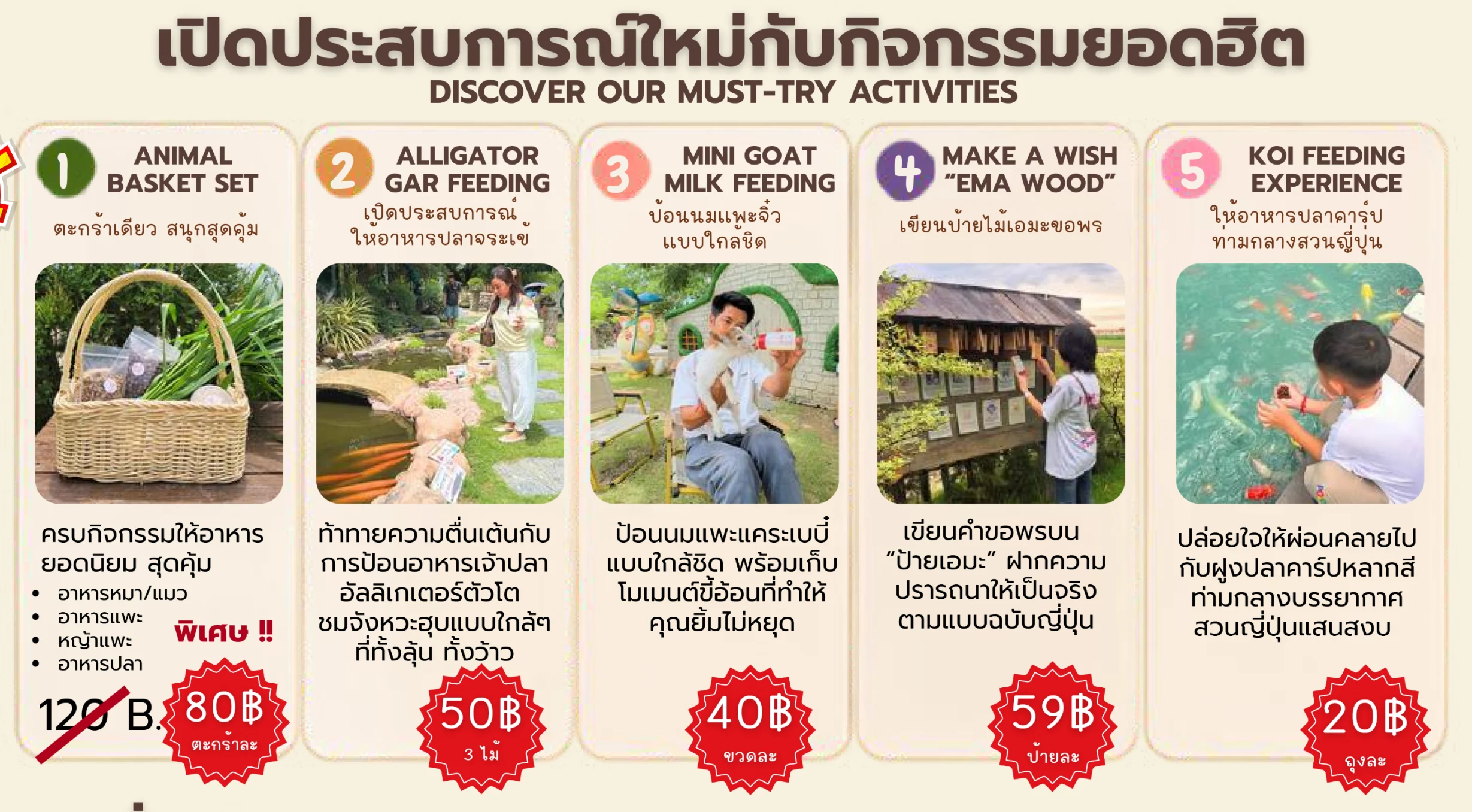 ตะกร้าอาหารสัตว์