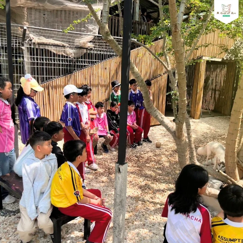 Group visits and gatherings at the café, photo 1