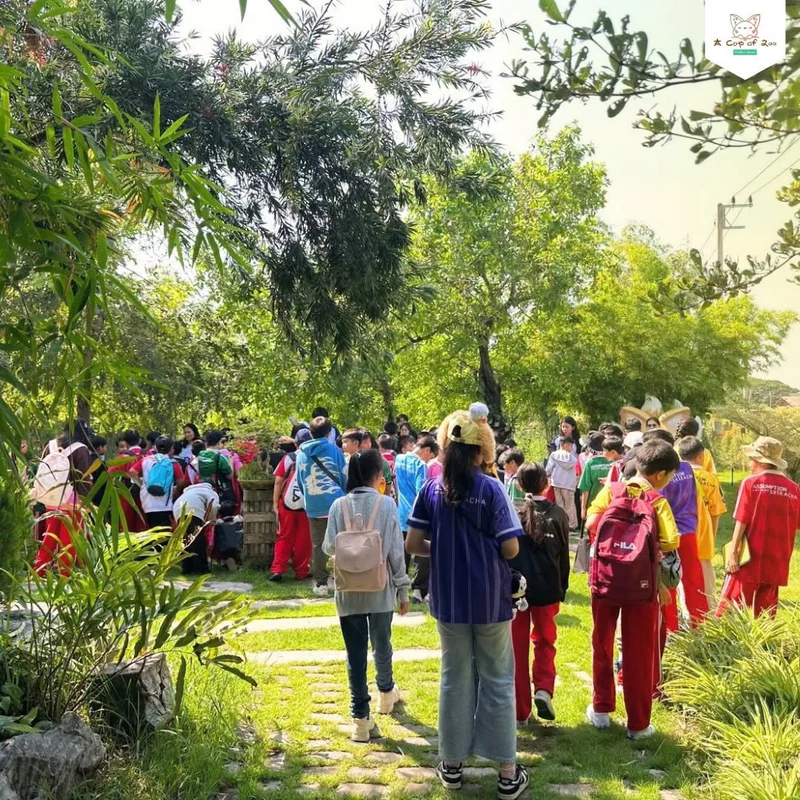 Students and teachers exploring the café garden