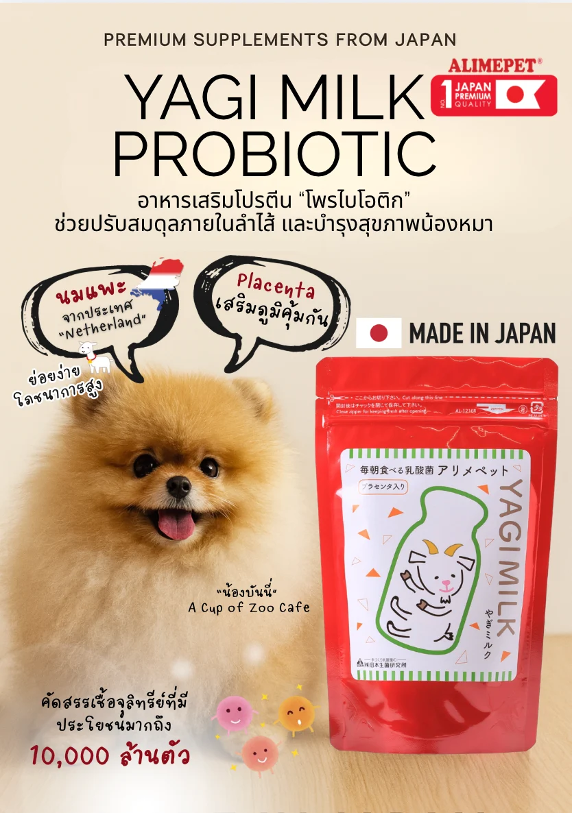 Yagi Milk campaign featuring one of the café's dogs