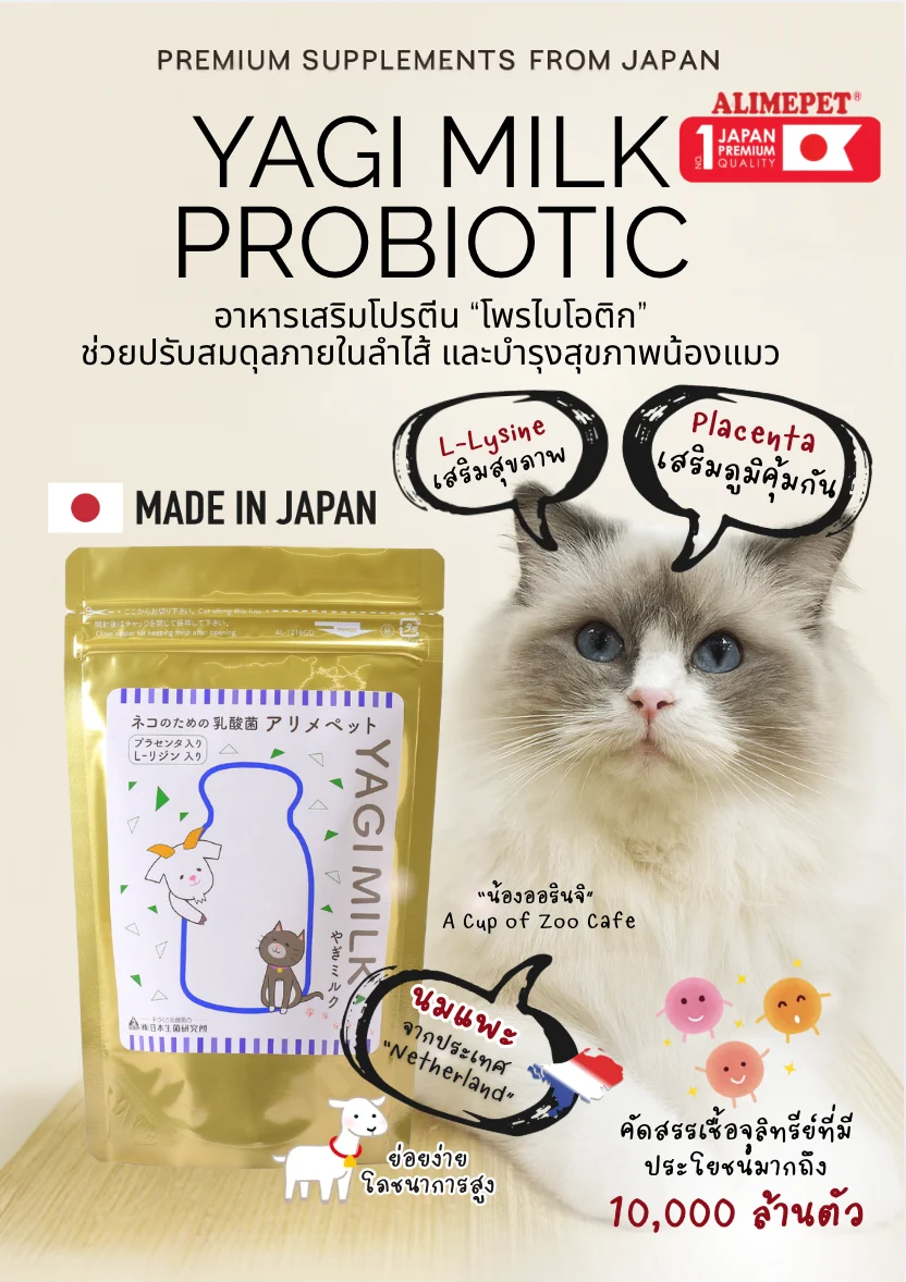 Yagi Milk campaign featuring one of the café's cats